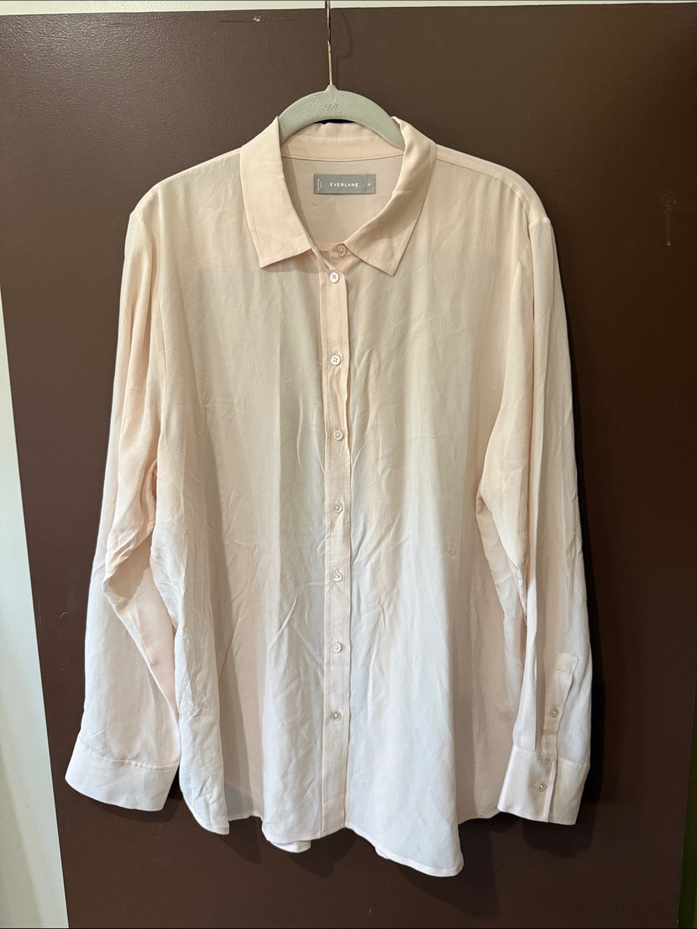 Everlane 100% Silk Pale Pink Button-Down Shirt